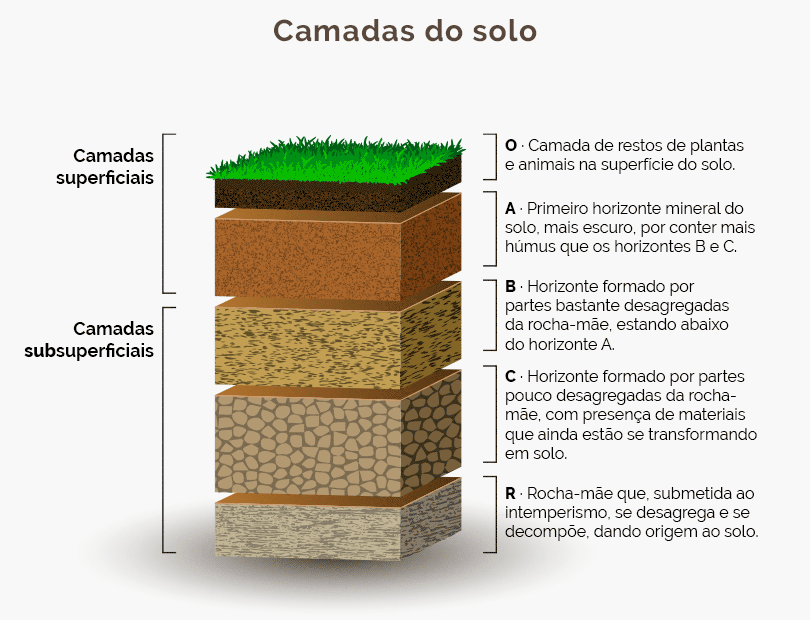 tipos de solo - camadas do solo 