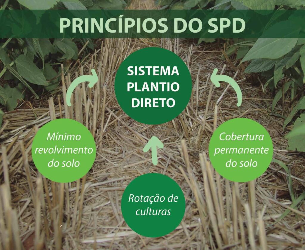 Princípios do sistema de plantio direto 