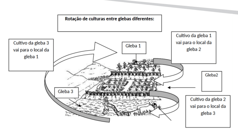 rotação de culturas em diferentes áreas 