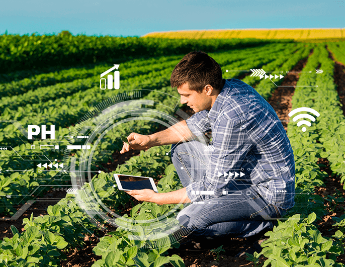 gestão do agronegócio - agricultura digital