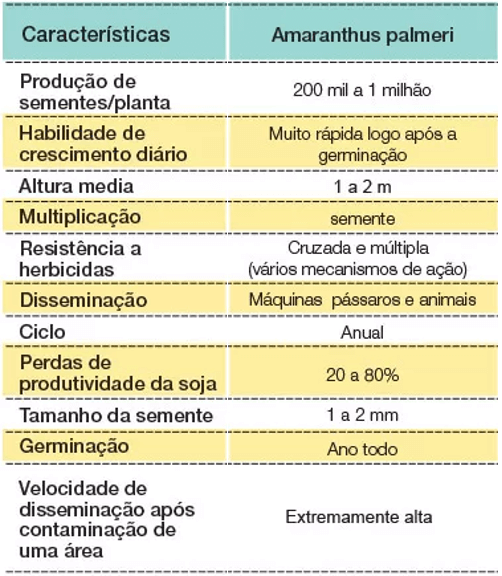 MANEJO DE PLANTAS DANINHAS DA SOJA. .pptx