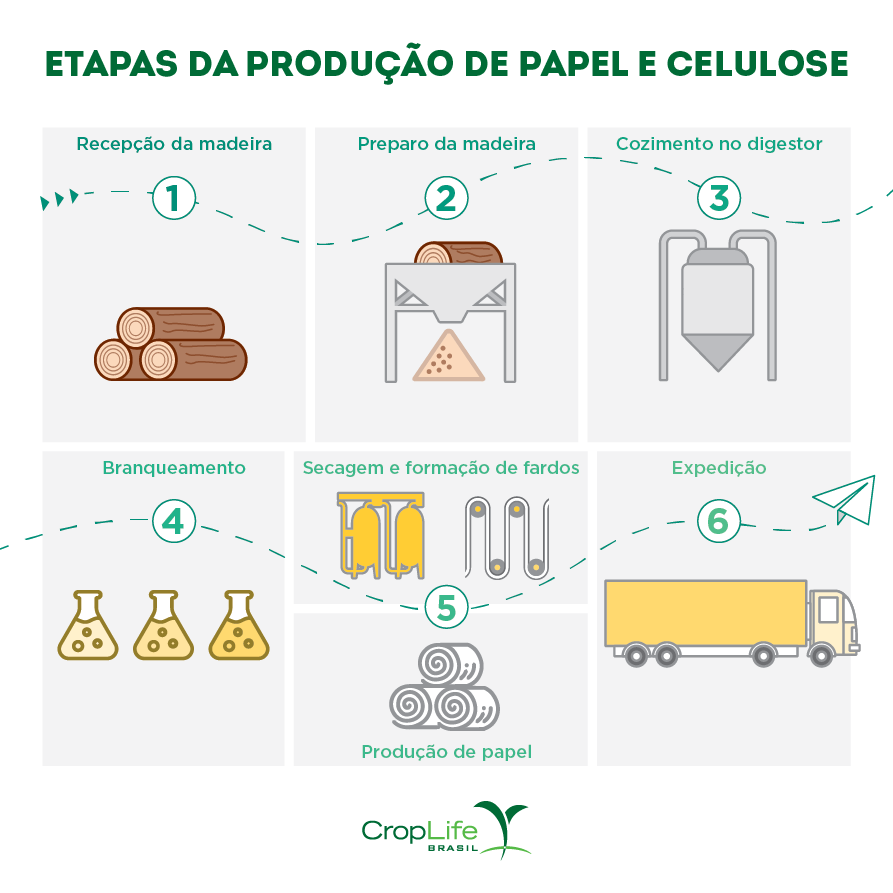 etapas das produção de papel e celulose